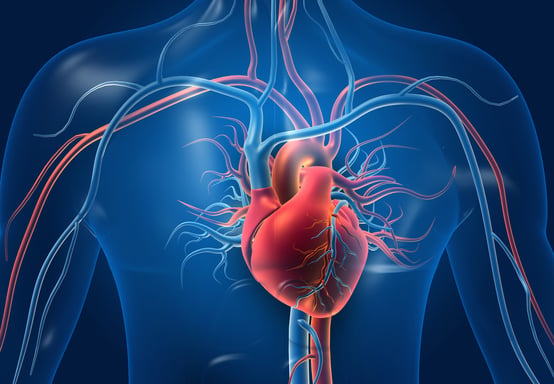 Cholin und Betain: Ihre Rolle bei der Regulation des Homocysteinspiegels